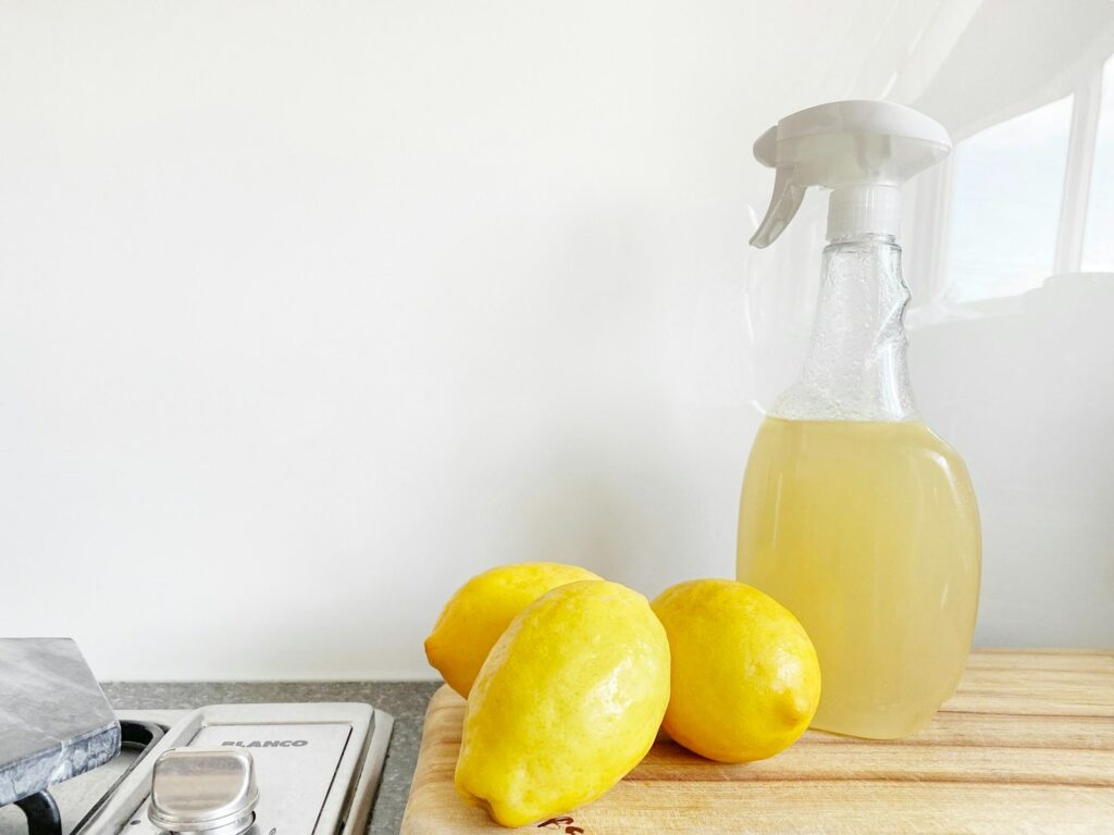 Receitas práticas para refeições em família